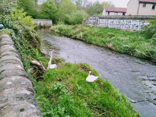 St Marks Park Community Woodland