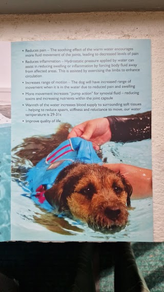 Duchy Canine Hydrotherapy