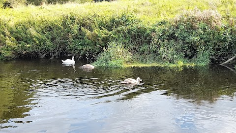 Lagan Valley Regional Park