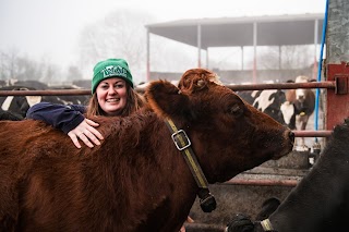 Tyndale Farm Veterinary Practice