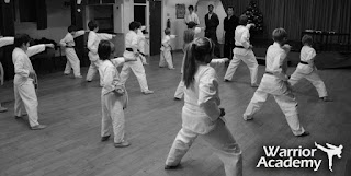 The Warrior Academy - Martial Arts Tuition