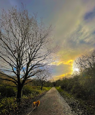 Three Brooks Local Nature Reserve