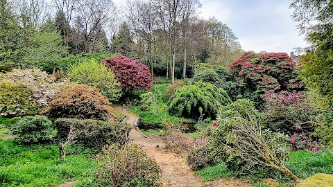 Lukesland Gardens and Tea Room