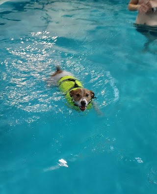 Canine Aqua Centre