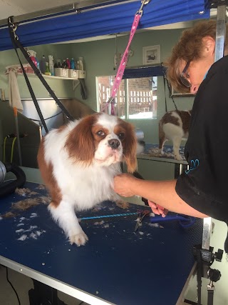 Flitwick Dog Grooming