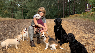 TOP DOG Walking Services