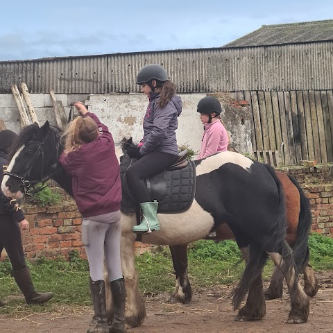 South Pasture Stables