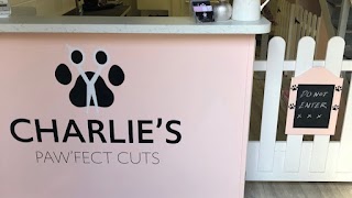 Charlie's Paw'fect Cuts