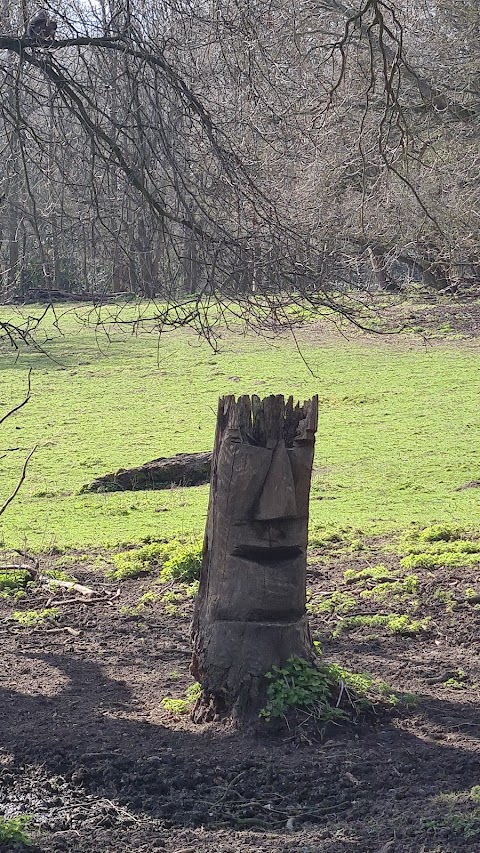 Bedfords Park Deer Enclosure