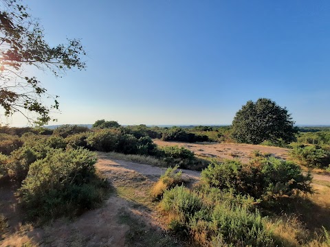 Thurstaston Hill