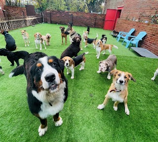 Faye's Doggy Daycare Boutique