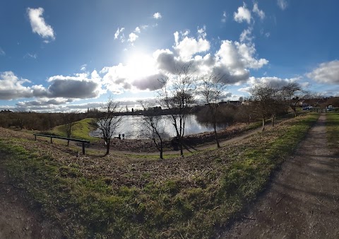 Buckpool and Fens Pool Local Nature Reserve