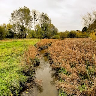 Toll's Meadow