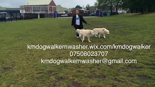 kmdogwalker