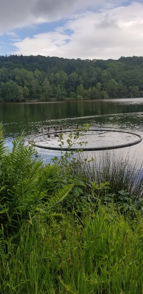 Trimpley Reservoir