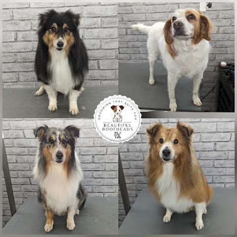 Beautiful Boofheads- dog grooming