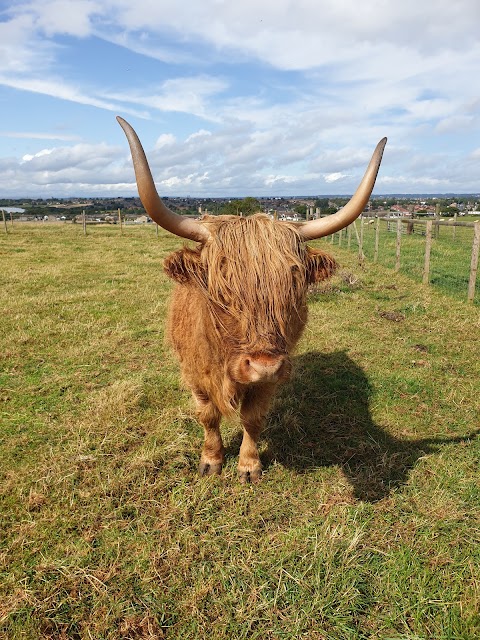 Swithens Farm