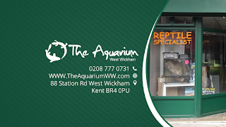 The Aquarium West Wickham Ltd