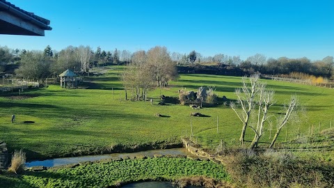 Chessington Safari Hotel