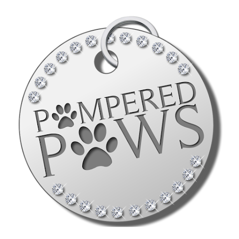Pampered Paws Glasgow