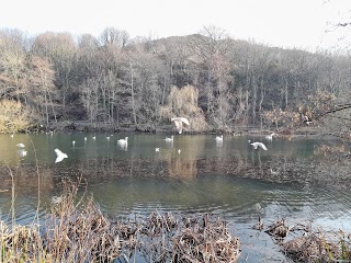 Blackford Pond