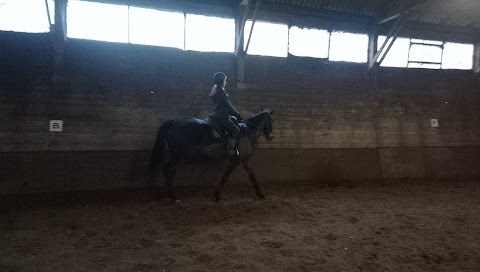 Hamsey Riding School