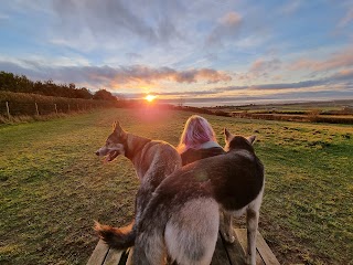 Dee Dog Park at Church Farm