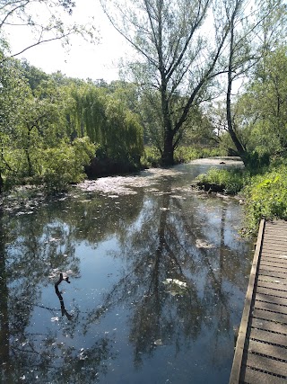 Cremer's Meadow