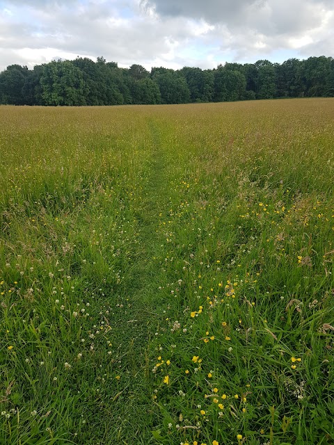 Oxford Island Nature Reserve