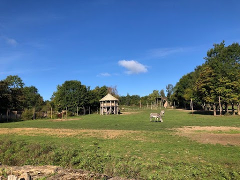 Chessington Safari Hotel