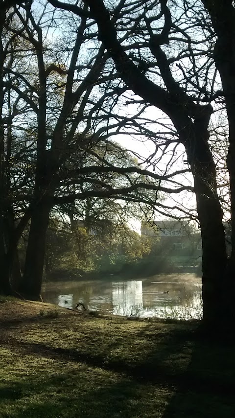 Caversham Park Pond