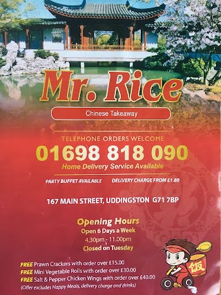 Mr Rice Chinese Takeaway