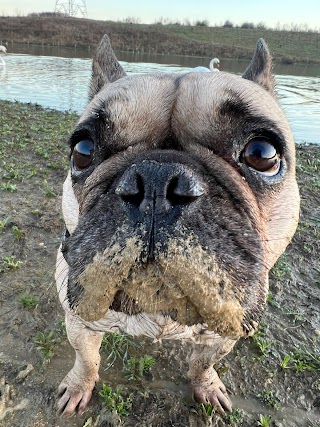 Walkies With Claudia