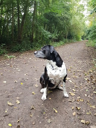 R T Jones Veterinary Surgery, Urmston