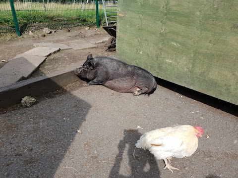 Pimhole Community Farm