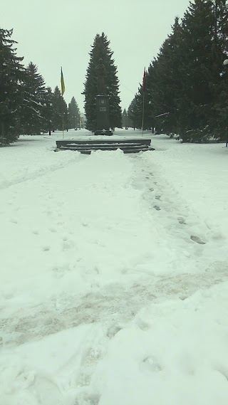 Пам'ятник борцям за волю України