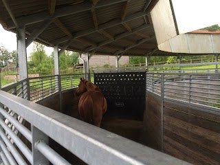 Walnut Hill Equine Veterinary Clinic