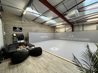 The Brazilian Jiu Jitsu Academy