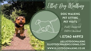 Elliot Dog Walking