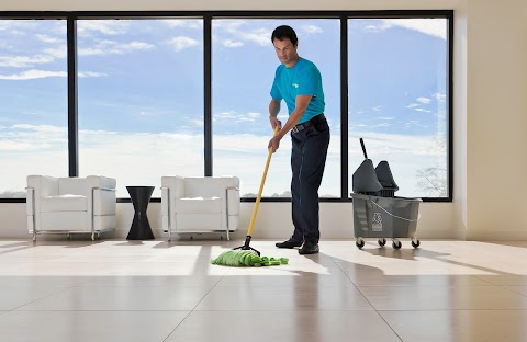 The Tudor Cleaning & Property Maintenance Company