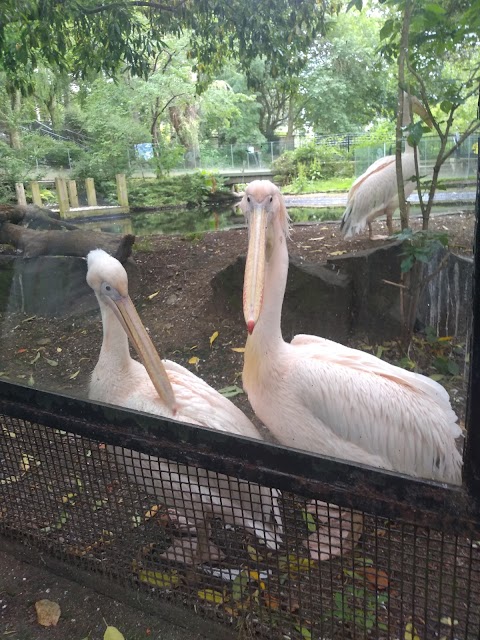 Edinburgh Zoo (Stop 2)