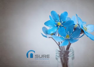 Nsure Wills & Estate Planning Services