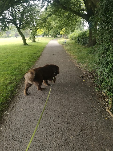 Little Large Giant Dog Walking & Training