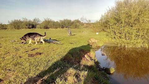 Міський пляж