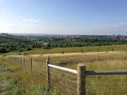 Gedling Country Park