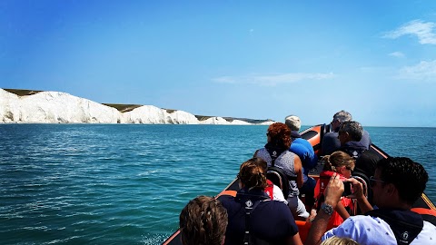 Sussex Boat Trips