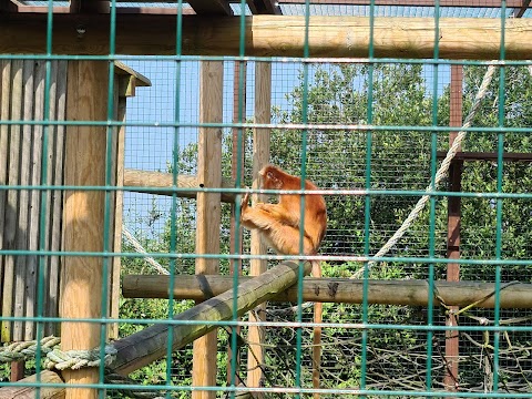 Monkey Haven - Primate Rescue Centre