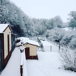 A L Y N Kennels And Cattery