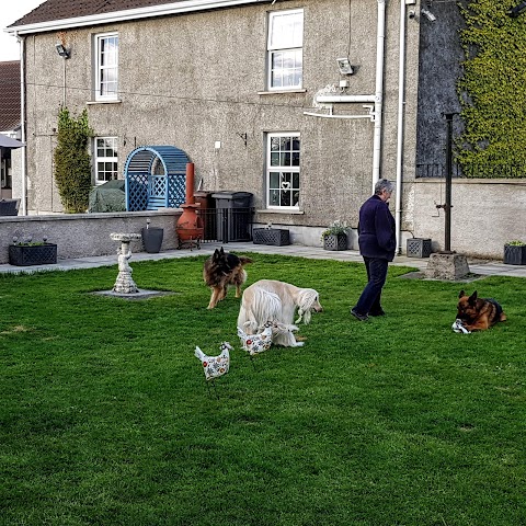 Bed & Biscuit Dog Boarding Kennels