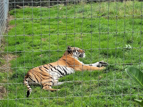 Woodside Wildlife Park